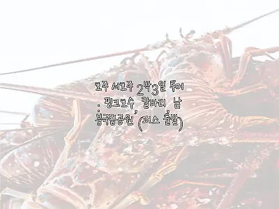 호주 서호주 2박3일 투어 후기: 핑 관련 이미지