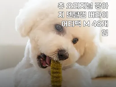 잇츄 오리지널 강아지 덴탈껌 버라이어 관련 이미지